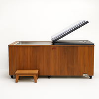 Cold Plunge Tub Engineered for Daily Recovery, Cedar Cabinet, 304 Steel Basin, Multi-Stage Filtration