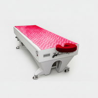 Red Light Therapy Bed Built for Full Body Treatment, Medical-Grade LEDs, Height-Adjustable Canopy, Touch Controls