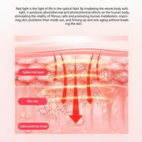 Red Light Therapy Bed Built for Full Body Treatment, Medical Grade LEDs, Touchscreen Control, Active Cooling